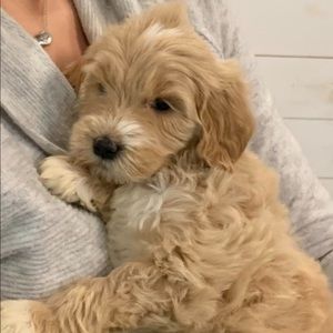 Everything in closet most gooo!!!!